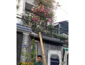 Báo Giá Làm La Phông La Phông Nhựa Trần Vách Thạch Cao Rẻ Tại Ấp Đông Xã Thới Tam Thôn Hóc Môn